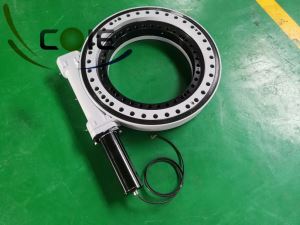 21 Inch Slewing Gear Txo Rau Tsheb Crane